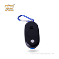 1+2LED Carabiner Flash led light Keychain Light